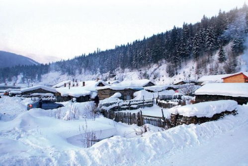 冬季風(fēng)光的詩(shī)句古詩(shī)詞