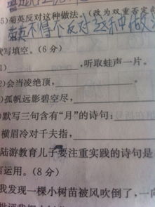 明月問渠的古詩句