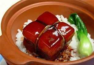 關(guān)于描寫東坡肉的詩句或詞句,蘇軾描寫東坡肉的詩句,描寫東坡肉好吃的詩句