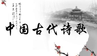 古詩中表詩忠義的詩句