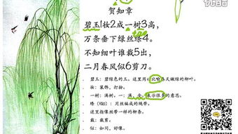 古詩,句子,詠柳