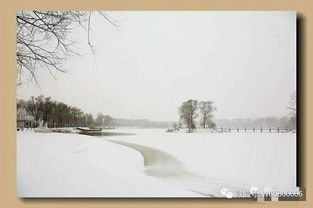 雪的古詩句有哪些