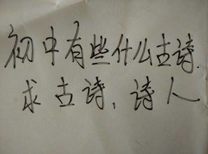 初中古詩有雪的詩句