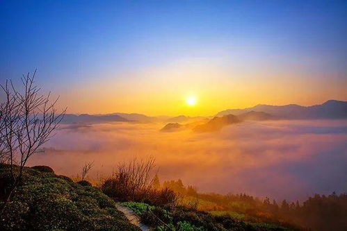 關(guān)于水詩句有哪些