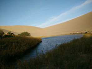 詩句,景色,西部