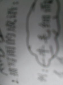 關于雨的詩句成語俗語諺語,關于雨的詩句和成語還有俗語,關于雨的成語和俗語和詩句