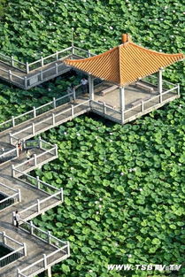 關(guān)于人工湖的優(yōu)美詩(shī)句