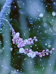 醉花間馮延巳古詩(shī)句