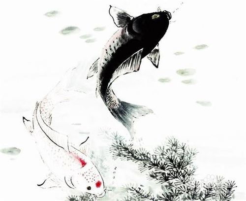 寫景詩句摘抄加賞析,寫景的詩句及賞析,夢(mèng)游天姥吟留別寫景詩句賞析