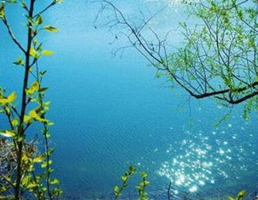 關(guān)于四川春天的詩句