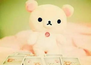 過節(jié)古詩句引用文章