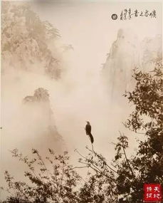 形容時(shí)光飛逝的古詩句,形容恩愛的古詩句,形容老師的古詩句