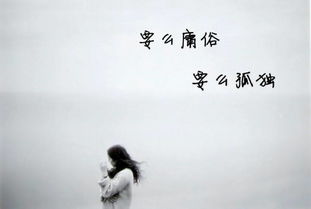 有關(guān)于孤獨(dú)寂寞的詩句