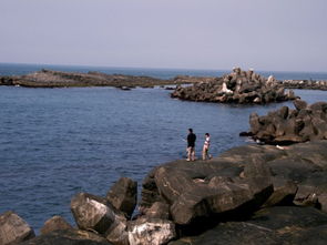 關(guān)于基隆港的詩句