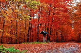 關(guān)于秋天的千古詩句