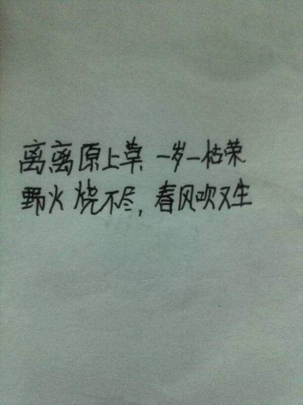 有關(guān)于堅(jiān)強(qiáng)的詩句