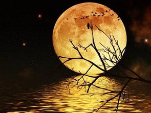 愛(ài)國(guó),古詩(shī),詩(shī)句,中秋