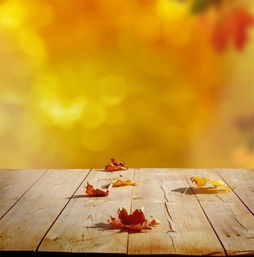 古詩(shī),詩(shī)句,悲傷,秋天