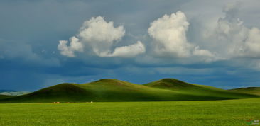 詩句,草原,相關