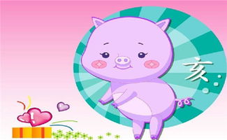 12生肖的詩句大全,形容十二生肖的詩句,關于12生肖的詩句有哪些