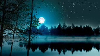 關(guān)于月亮的思鄉(xiāng)詩句,以月亮寄托思鄉(xiāng)的詩句,用月亮表達(dá)思鄉(xiāng)的詩句