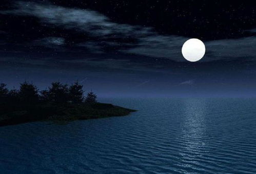 思鄉(xiāng),古詩,詩句,于月