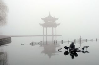 有那些關(guān)于西湖的詩句