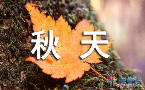 有關(guān)秋天的四字詞語或古詩句