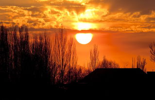 描寫日月的古詩(shī)句詩(shī)句