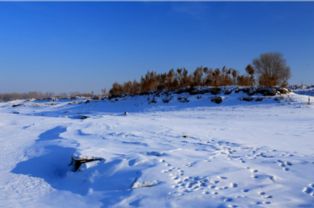 關(guān)于形容雪留下的美景的詩句