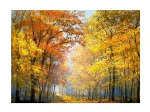 秋天秋雨秋風(fēng)的詩句古詩