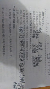 兩人對照的古詩句