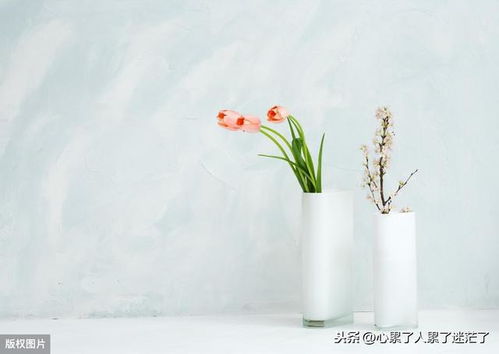 過好每一天的古詩句