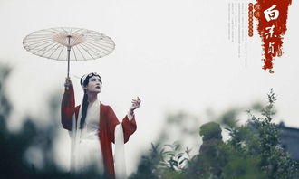 古人關(guān)于描寫自己偶像的詩句