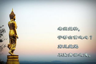 關(guān)于失敗后不要灰心的古詩(shī)句