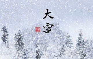 關(guān)于西安的詩句雪冰
