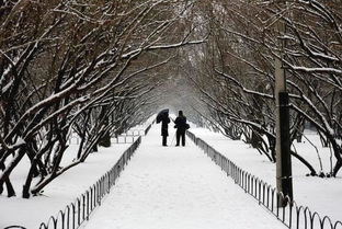 古詩詞,詩句,簡短,描寫