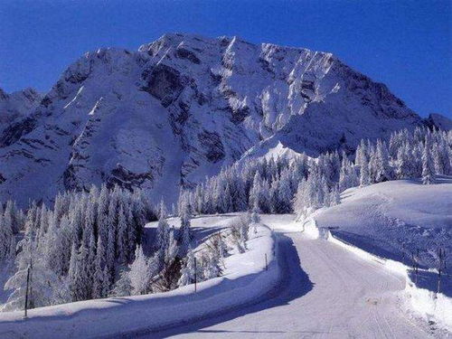 描寫(xiě)冷的詩(shī)句古詩(shī)