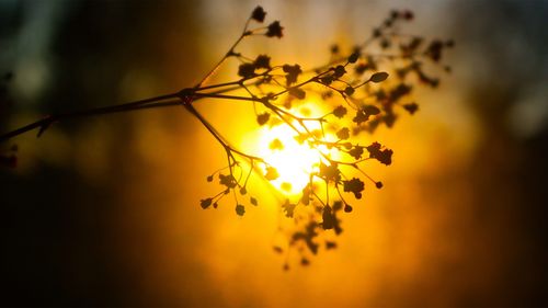 關(guān)于釋放心情的詩句