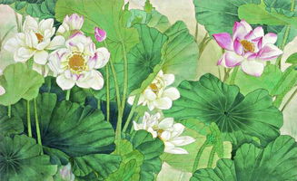 形容畫(huà)美的古詩(shī)句