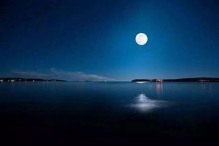 寫月懷念人的詩(shī)句古詩(shī)詞