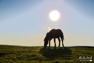 關(guān)于帶著夢想去遠(yuǎn)行的詩句