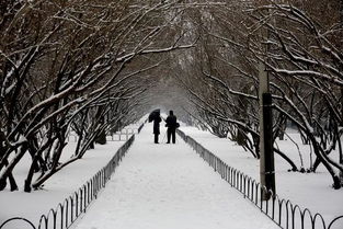 關(guān)于雪的詩句意境不同