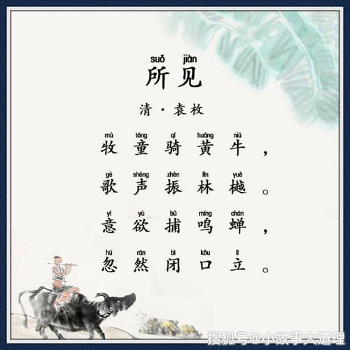 有關(guān)清代經(jīng)典詩(shī)句古詩(shī)詞網(wǎng)