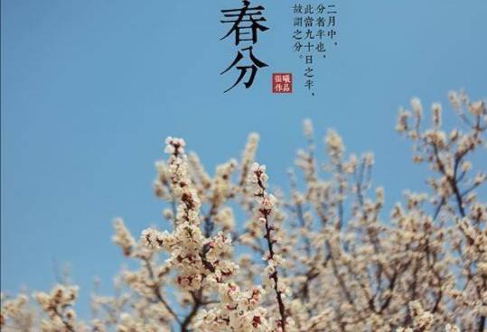 有天字的詩(shī)句古詩(shī)大全