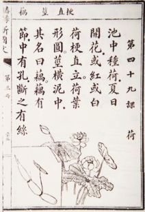 關(guān)于民國的詩句