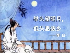 關于詩句名言思鄉(xiāng)之情