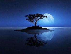 白居易關(guān)于月光的詩(shī)句