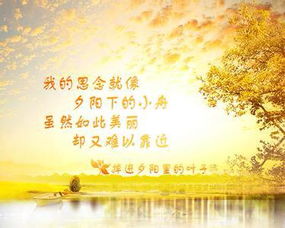 表達(dá)思念的古詩句句子