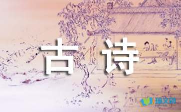 關于風的詩句20個